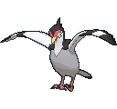 Pokémon #520 7G