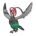 Pokémon #521 7G