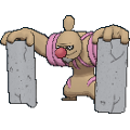 Pokémon #534 7G