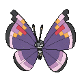Pokémon #666mo 7G