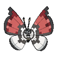 Pokémon #666po 7G