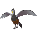 Pokémon #521f 8G