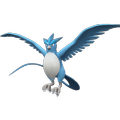 Pokémon #144 9G