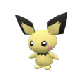 Pokémon #172 9G