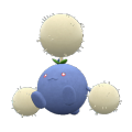 Pokémon #189 9G