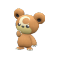Pokémon #216 9G