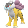 Pokémon #243 9G