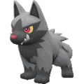 Pokémon #261 9G