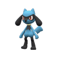Pokémon #447 9G