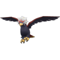 Pokémon #628 9G