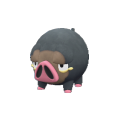 Pokémon #915 9G