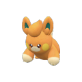Pokémon #921 9G