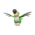 Pokémon #931 9G
