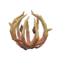 Pokémon #946 9G