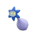 Pokémon #969 9G