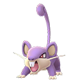 Pokémon #19m GO