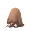 Pokémon #221f GO