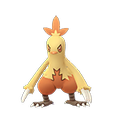 Pokémon #256f GO