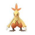 Pokémon #256m GO