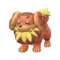 Pokémon #927 GO