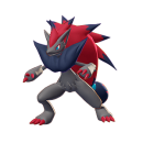 Pokémon #571 UNITE
