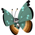 Pokémon #666ju defaut