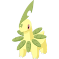Pokémon #153 sleep
