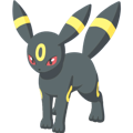 Pokémon #197 sleep