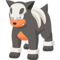 Pokémon #228 sleep