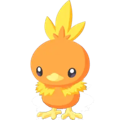 Pokémon #255 sleep