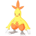 Pokémon #256 sleep
