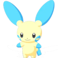 Pokémon #312 sleep