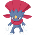 Pokémon #461 sleep