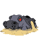 Pokémon #450f 4G