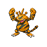 Pokémon #125 5G