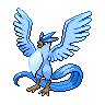 Pokémon #144 5G
