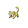 Pokémon #19 5G
