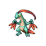 Pokémon #253 5G