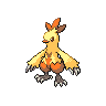 Pokémon #256 5G