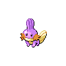 Pokémon #258 5G