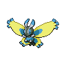 Pokémon #414 5G