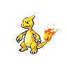 Pokémon #5 5G