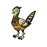 Pokémon #521f 5G