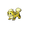 Pokémon #58 5G