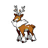 Pokémon #586h 5G