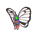 Pokémon #12 6G