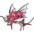 Pokémon #130m 6G