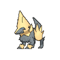 Pokémon #310 6G