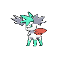 Pokémon #492c 6G