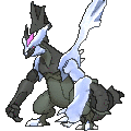 Pokémon #646n 6G